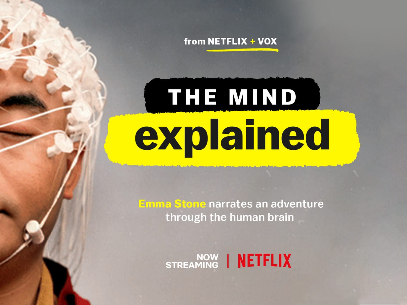 The Mind Explained The Mind Explained